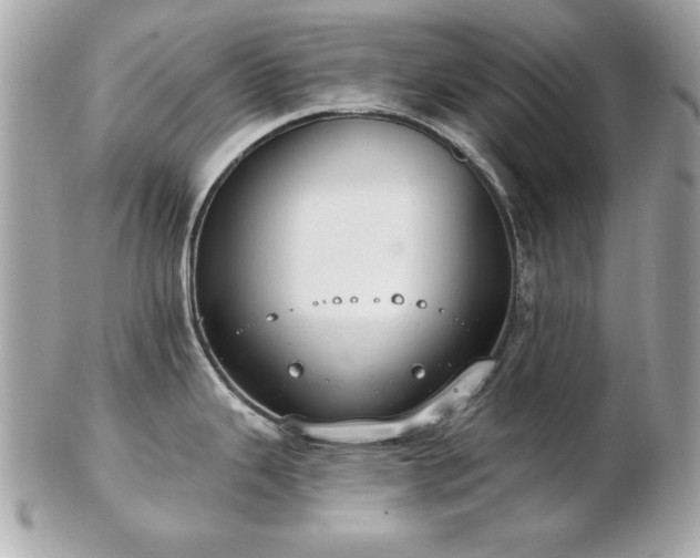 X0000103261343200808291209