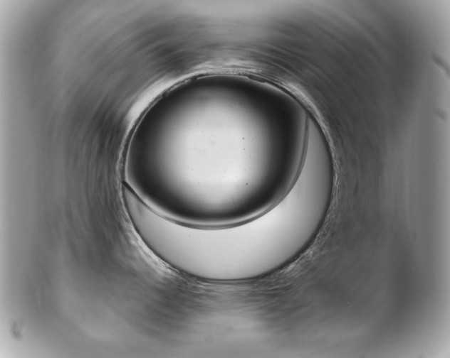 X0000103261344200808291209