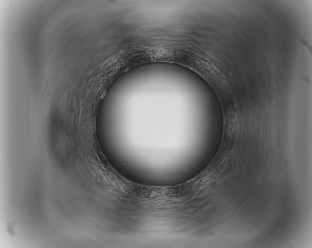 X0000103261345200808291208