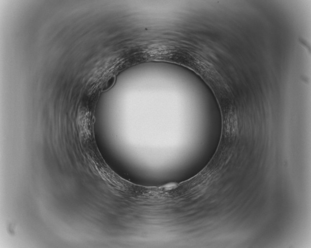 X0000103261346200808291208