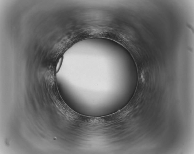 X0000103261348200808291208