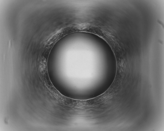 X0000103261349200808291208