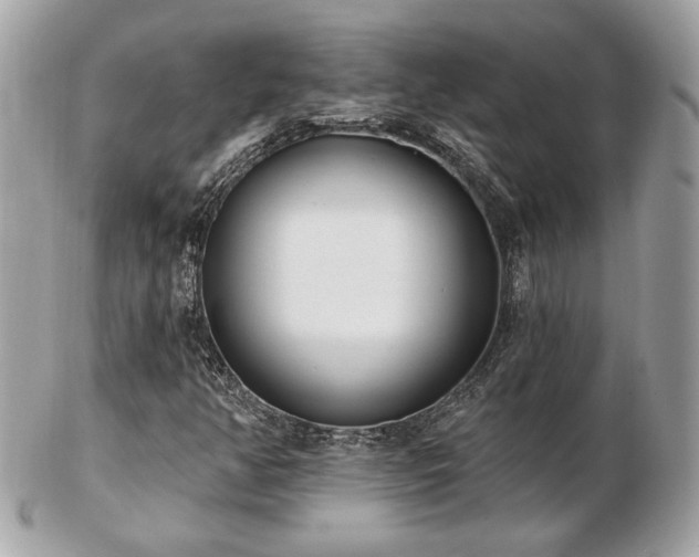 X0000103261350200808291208