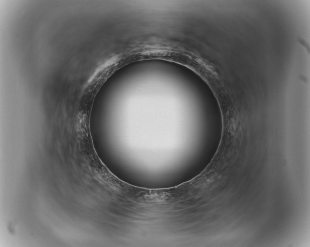 X0000103261351200808291208