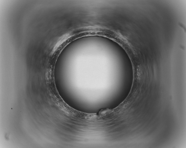 X0000103261352200808291208