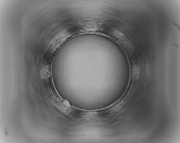 X0000103261353200808291208