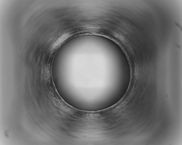 X0000103261354200808291208