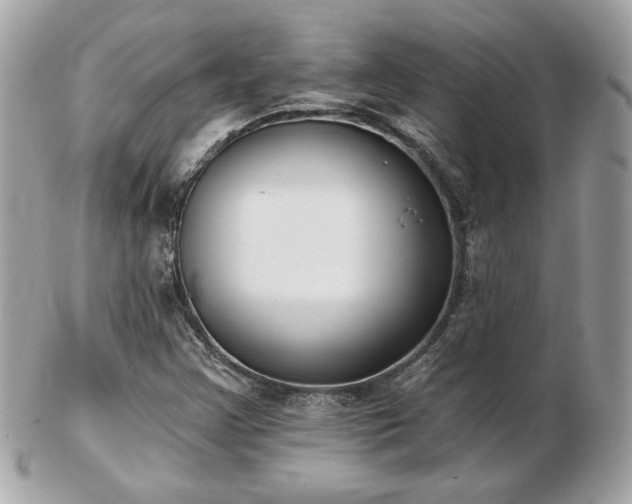 X0000103261355200808291208