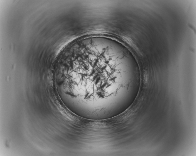 X0000103261356200808291208