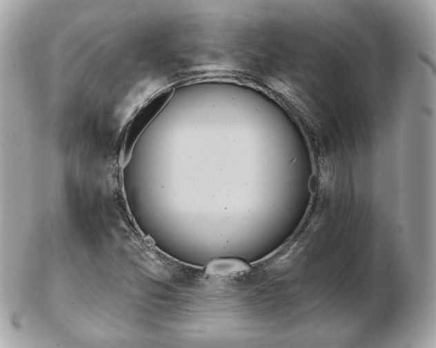 X0000103261357200808291208