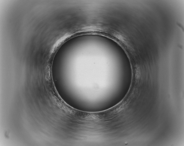 X0000103261358200808291208