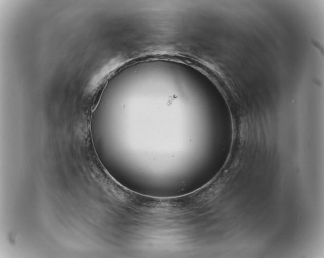 X0000103261359200808291208