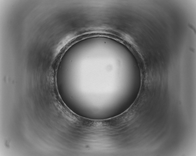 X0000103261360200808291208