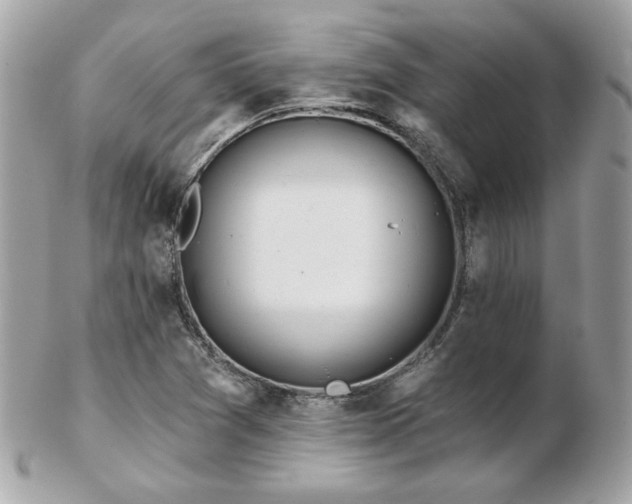 X0000103261361200808291208