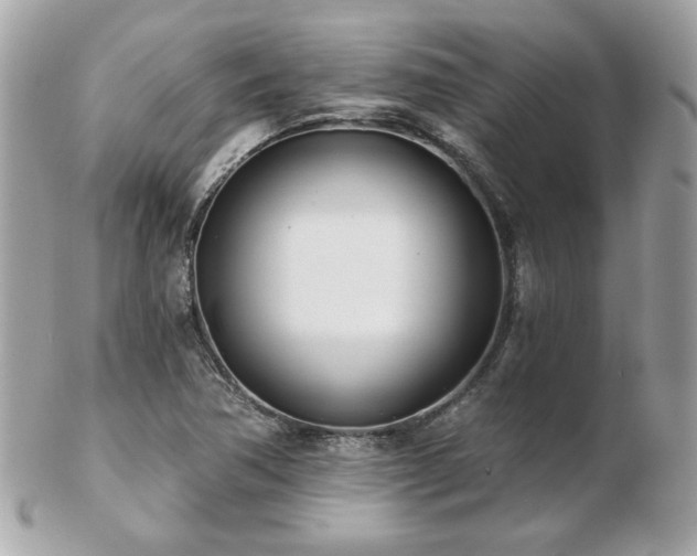 X0000103261362200808291208