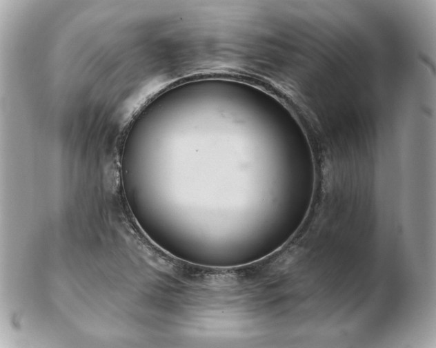 X0000103261363200808291208