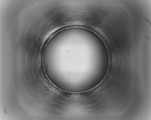 X0000103261364200808291208