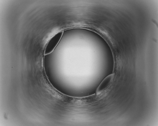 X0000103261365200808291208