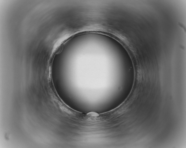 X0000103261366200808291208