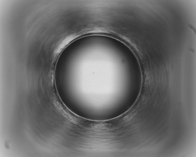 X0000103261367200808291208