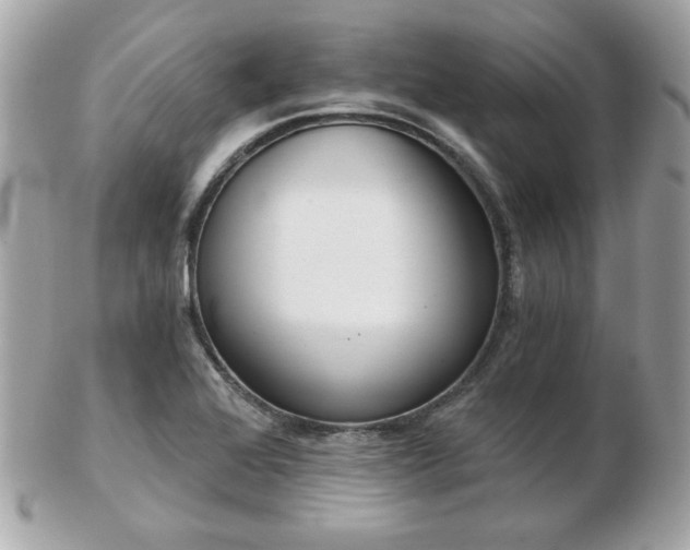 X0000103261368200808291208