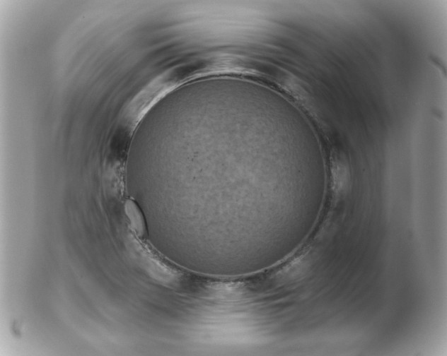 X0000103261369200808291208