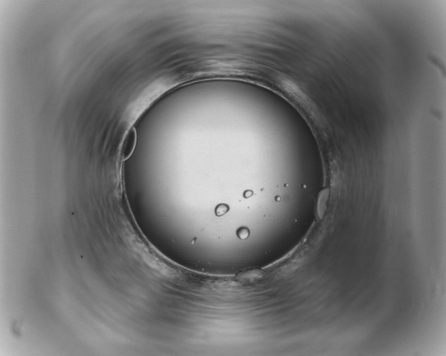 X0000103261370200808291208