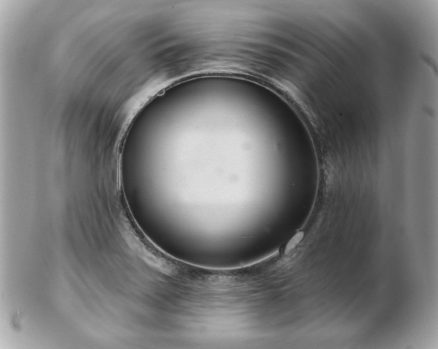 X0000103261371200808291208