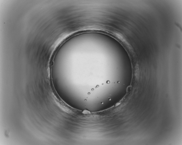 X0000103261372200808291208