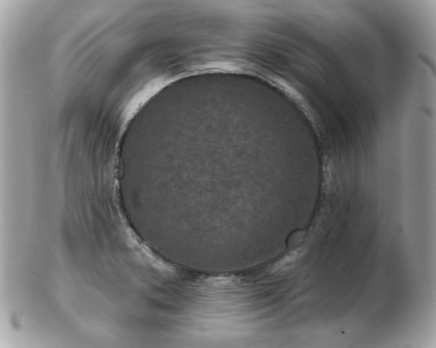 X0000103261373200808291208