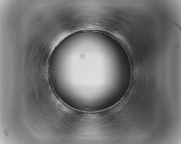 X0000103261374200808291208