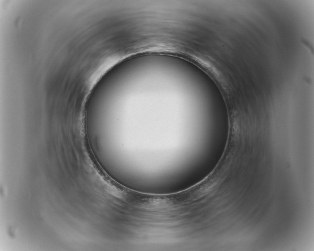 X0000103261375200808291208