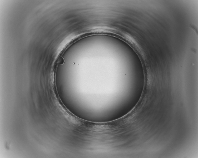 X0000103261376200808291208