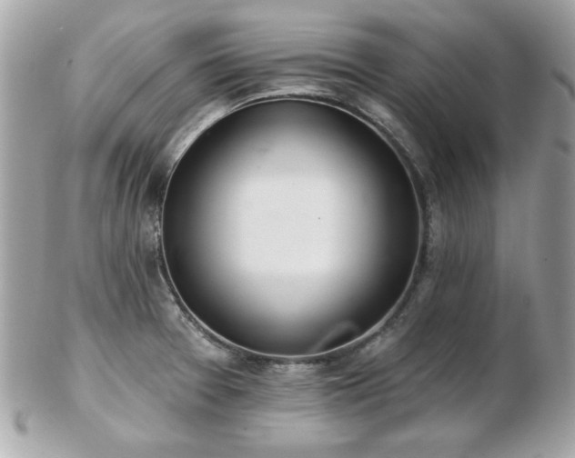 X0000103261377200808291208