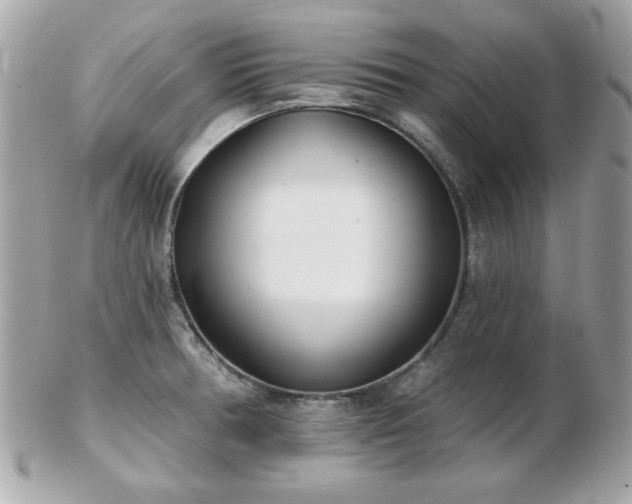 X0000103261378200808291208