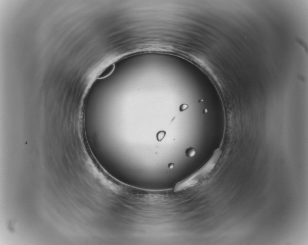 X0000103261379200808291208