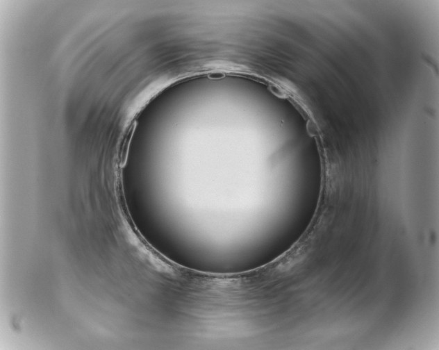 X0000103261381200808291208