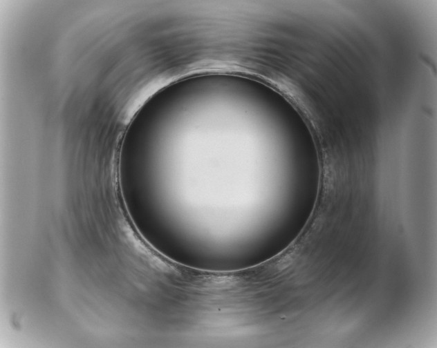 X0000103261382200808291208