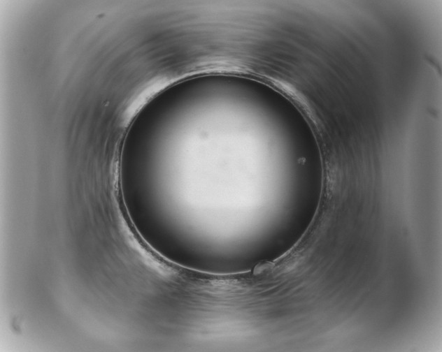 X0000103261383200808291208