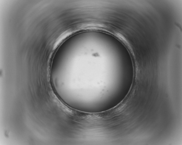 X0000103261384200808291208