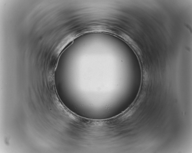 X0000103261385200808291208