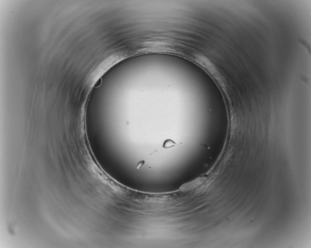 X0000103261386200808291208