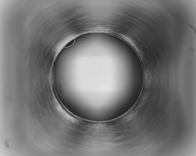 X0000103261387200808291208