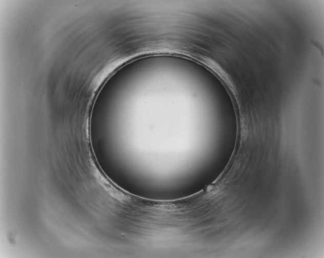 X0000103261388200808291208