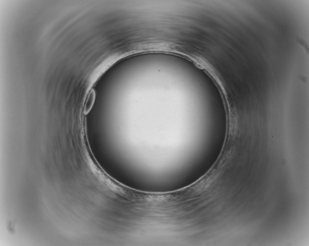 X0000103261389200808291208