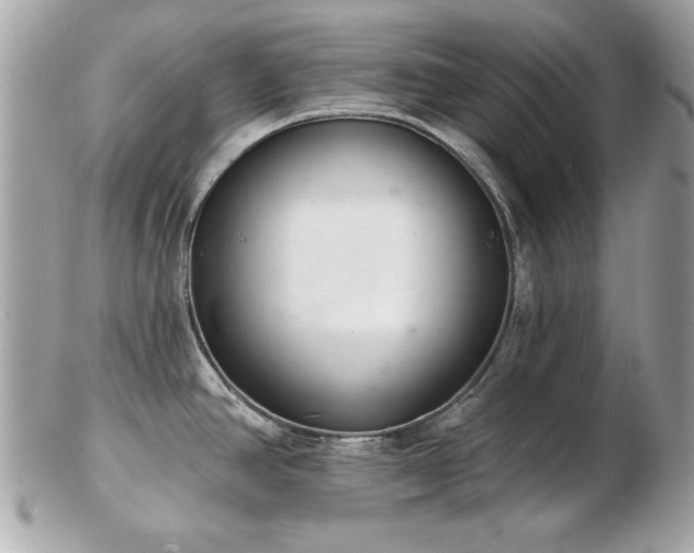 X0000103261390200808291208