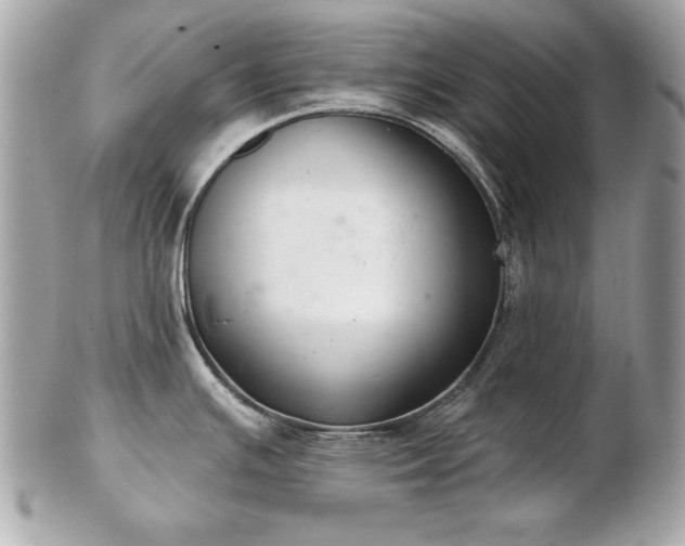 X0000103261391200808291208