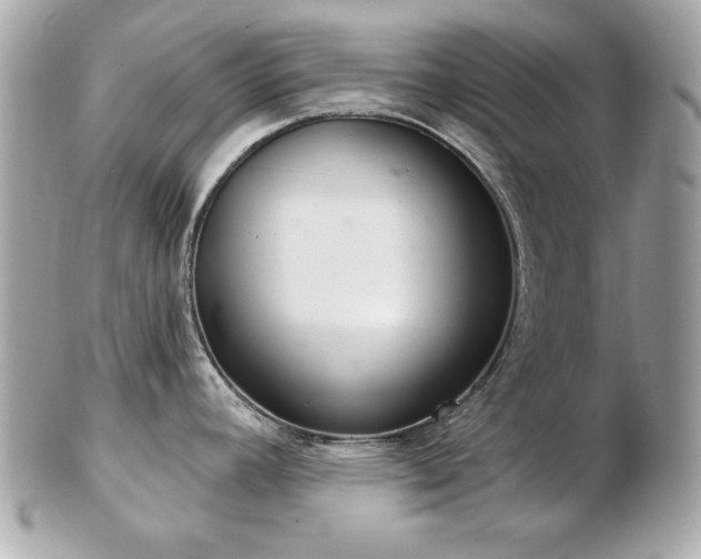 X0000103261392200808291208