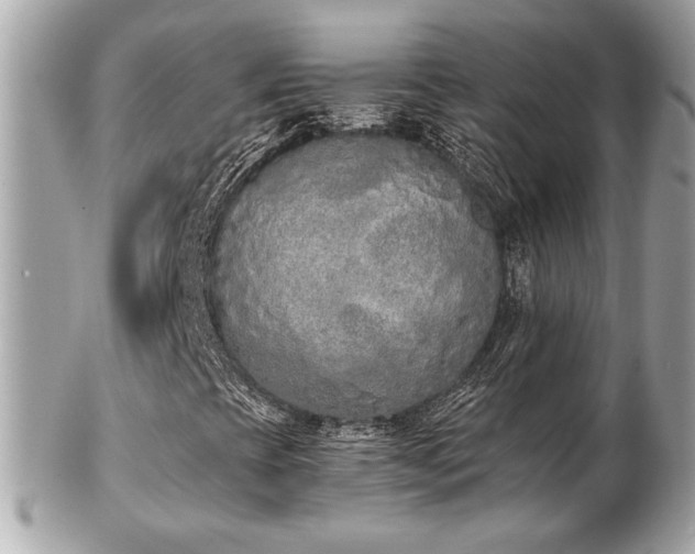 X0000103261393200808291207