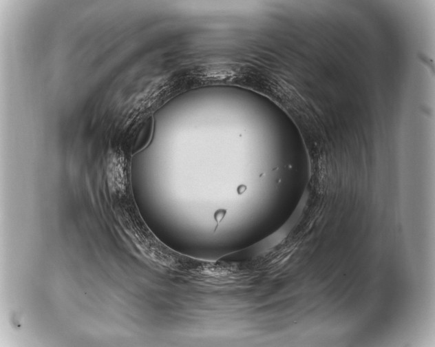 X0000103261394200808291207